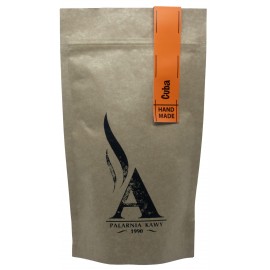 Kuba Torquino Lavado